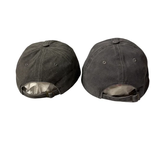 Gray Stone Washed Bird Nerd| Cardinal Cap - Picture 4 of 4